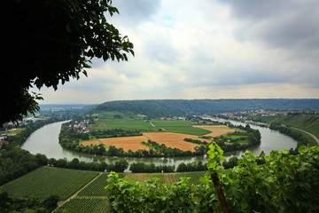 Fototapeta na wymiar Mundelsheim am Neckar eine Weinregion bei Stuttgart
