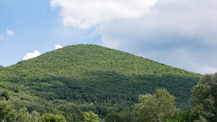 Fototapeta na wymiar Umbrian landscape with hill full of trees