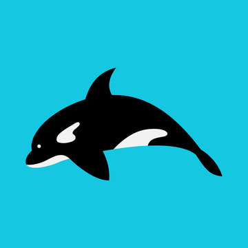 Killer Whale dolphins from Antarctica jumping Mascot Cartoon Vector