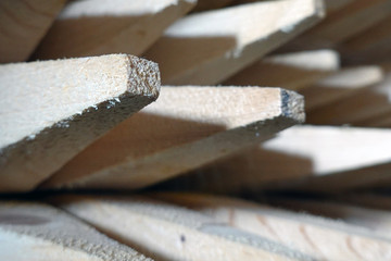 Sharpened wooden poles close up 