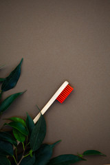 eco bamboo toothbrushes, ecological lifestyle concept, place for text, wood brush, zero, brown background.