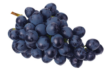 blue grape isolated on a white. Food