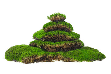 Pile of green moss on a white background. Moss pyramid.
