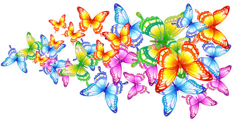 Obraz na płótnie Canvas butterfly302
