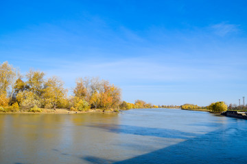 Autumn landscape. River bank with autumn trees. Poplars on the b