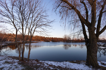 iced lake in winter surround with tree