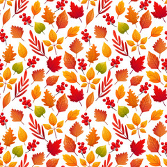 Fototapeta na wymiar Autumn season seamless pattern.