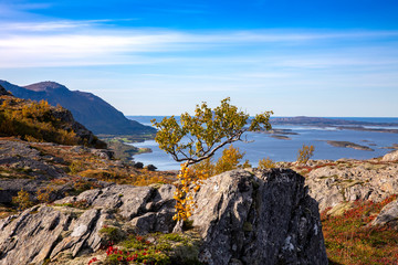 Autumn walk in the mountains in Northern Norway