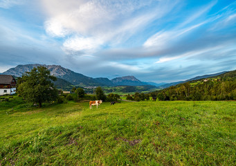 Fototapeta premium Vom Michaelerberg aus