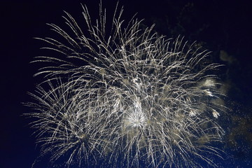 fireworks in the sky