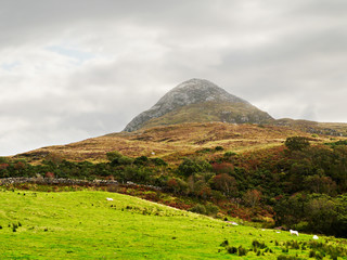 View on the Diamond hill in Connemara National park, county Galway, Ireland, Cloudy day, Popular tourist destination.