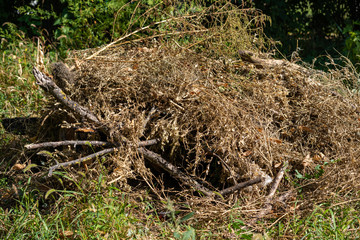 A pile of dried branches and grass