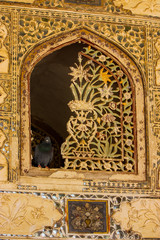 window decorated and broken with a pigeon perched in the fort of jaipur in India
