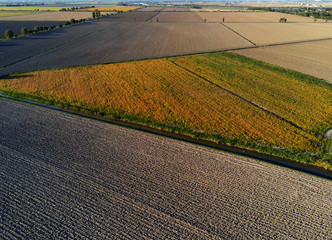 aerial view on cultivated fields