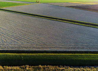 aerial view on cultivated fields