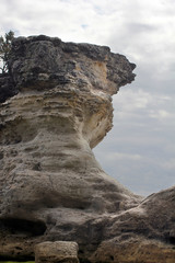 Rock in Jervis bay. Australia