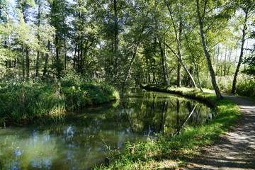 Wanderweg entlang eines Kanals im Spreewald bei Sonnenschein