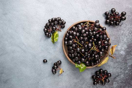 Bowl with freshly picked homegrown aronia berries. Aronia, commonly known as the chokeberry, with leaves, top view