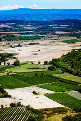 Fototapeta na wymiar panorama with cultivated fields near Gordes in French provence