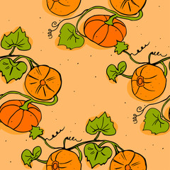 Vector seamless pattern of hand drawn Pumpkins. Background for use in design, cards and wallpapers.
