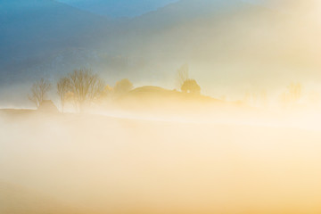 Traditional three hundred years old houses seen in a beautiful morning light during october