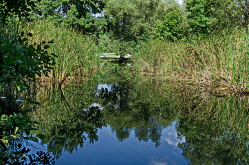 Fototapete bei efototapeten.de bestellen   