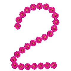 nature pattern design for home clothes and home wall