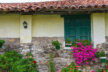 Fototapeta na wymiar Facade view of country house with green window, flowers and vegetation in Cantabria, Spain, Europe