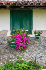 Fototapeta na wymiar Facade detail of country house with green window, flowers and vegetation, in vertical, in Cantabria, Spain, Europe