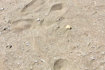 plage-3