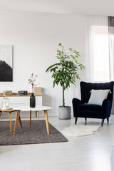 Black and white abstract painting on empty wall of cozy living room interior