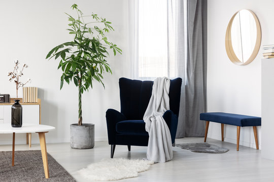 Dark blue velvet wing back chair with grey blanket in trendy living room