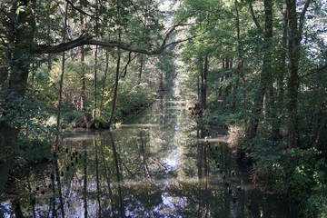 Kanal im Spreewald bei Sonnenschein