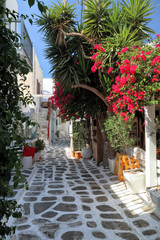 Fototapeta na wymiar Colourful backstreet of Mykonos old town, Cyclades, Greek Islands