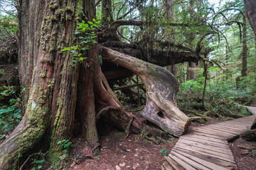 Hole in the wall, Port Alberni