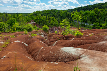 Ontario's Badlands