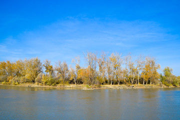 Autumn landscape. River bank with autumn trees. Poplars on the b