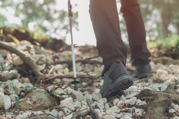 Close up trekking shoes of woman hiking in forest