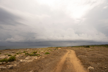 Un chemin au milieu du maquis sous un ciel nuageux