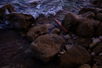 Fototapeta premium El Tronco