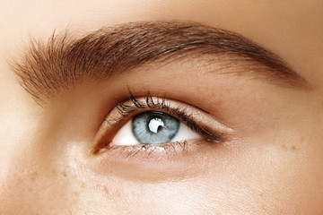 Close up photo of woman blue eye with beautiful natural eyebrow. Cropped view of human body...