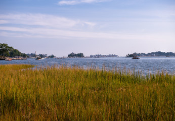 Long Island Sound Marsh