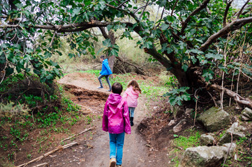 Naklejka na ściany i meble Group of three children walking in the forest