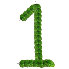 nature pattern design for clothes and home wall