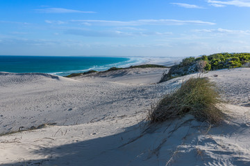 Strand mit Dünenlandschaft