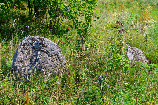 porzucona macewa na opuszczonym cmentarzu żydowskim