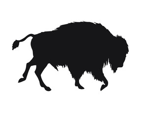 Vector black wild bison ox silhouette isolated on white background 