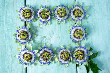 passion flowers on turquoise wooden surface