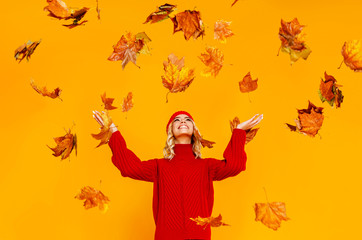 happy emotional cheerful girl laughing  with autumn leaves and knitted autumn red cap  on colored...