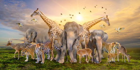 Large group of african safari animals. Wildlife conservation concept - Powered by Adobe